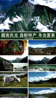 风景视频爆料大全高清版,风景视频爆料大全高清版精彩集锦