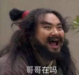 吃瓜系统搞笑沙雕小说娱乐圈,吃瓜系统搞笑沙雕日常